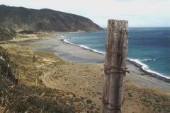 WOA-Coast-BaringHead