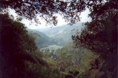 Waterworks-Valley-from-Hine-Rd